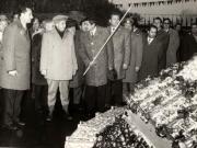 Vizita de lucru a lui Nicolae Ceauşescu în judeţul Satu Mare. În timpul vizitării expoziţiei agricole din piaţa centrală a municipiului Satu Mare (22 octombrie 1976)