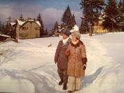 Revelion Aniversari Vanatori 1976