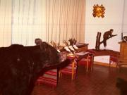 Revelion Aniversari Vanatori 1976