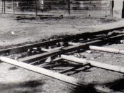 Rascoale taranesti