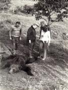 Vanatoare Bistrita Septembrie 1972