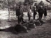 Vanatoare Bistrita Septembrie 1972