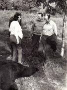 Vanatoare Bistrita Septembrie 1972