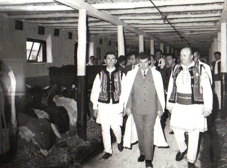 Aspect din timpul vizitei conducătorilor de partid şi de stat în regiunea Bacău (C.A.P. N.Bălcescu)