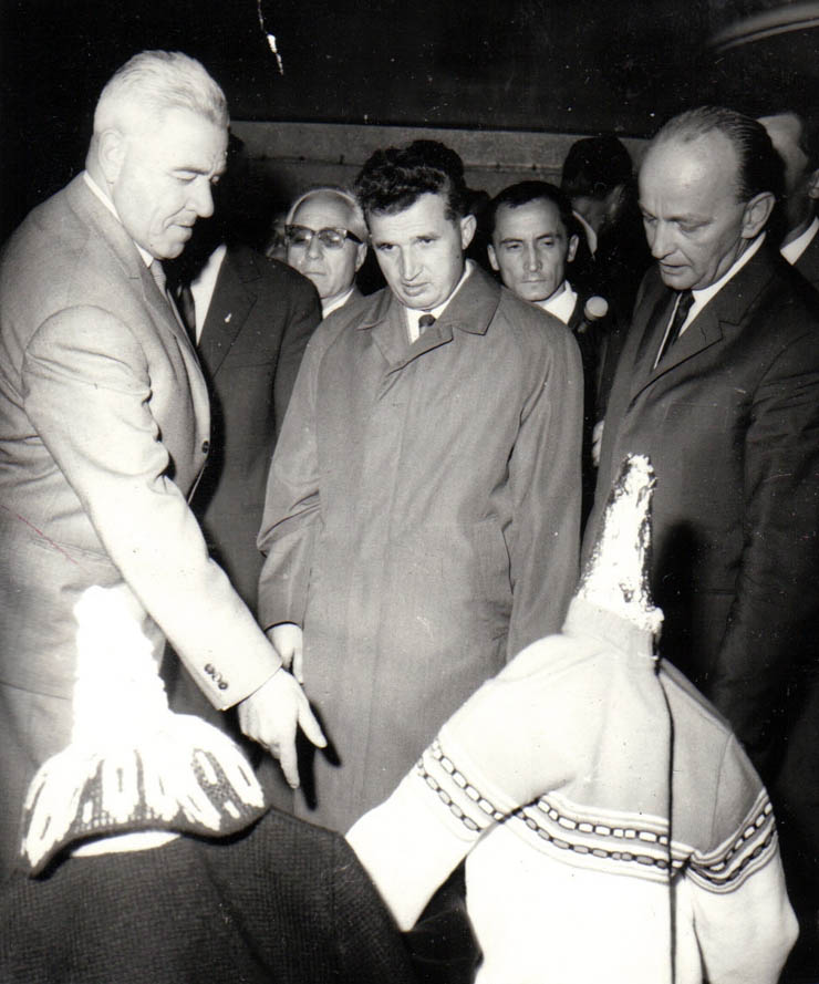 Aspect din timpul vizitei conducătorilor de partid şi de stat în regiunea Bacău (Uzina de fire şi fibre sintetice Săvineşti)