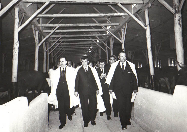 Aspect din timpul vizitei conducătorilor de partid şi de stat în regiunea Galaţi (C.A.P. Ianca)