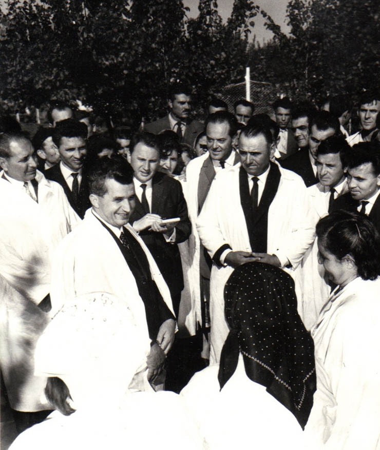 Aspect din timpul vizitei conducătorilor de partid şi de stat în regiunea Galaţi (C.A.P. Ianca)