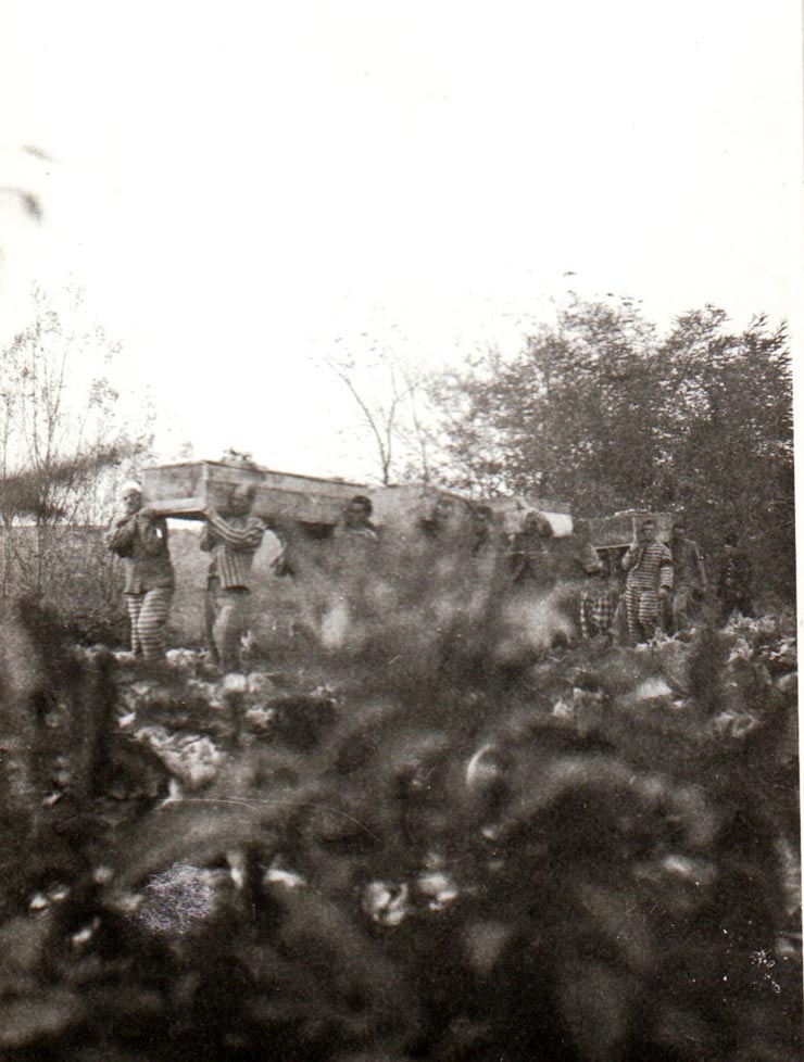 Aspect de la în mormântarea celor ucişi sub zidurile Doftanei  în noaptea de 9 spre 10 noiembrie 1940 (1940, 9-10 noiembrie).