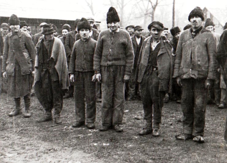 Grupuri de muncitori concentraţi (pentru a munci în mine) aşteaptă ieşirea lui Gheorghe Gheorghiu-Dej din minele de la Petrila, pentru a-i aduce la cunoştinţă atitudinea neumană a conducerii Societăţii „Petroşani” şi a comandantului militar faţă de ei (1944 noiembrie 24).