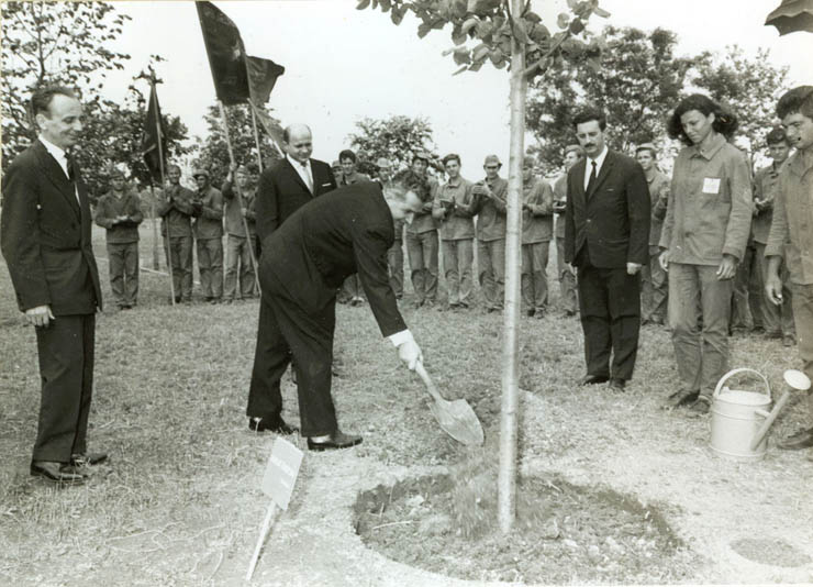 Nicolae Ceauşescu, şeful delegaţiei de partid şi de stat, aflat în vizită în Iugoslavia, plantează pomul prieteniei dintre cele două popoare. (mai 1968)