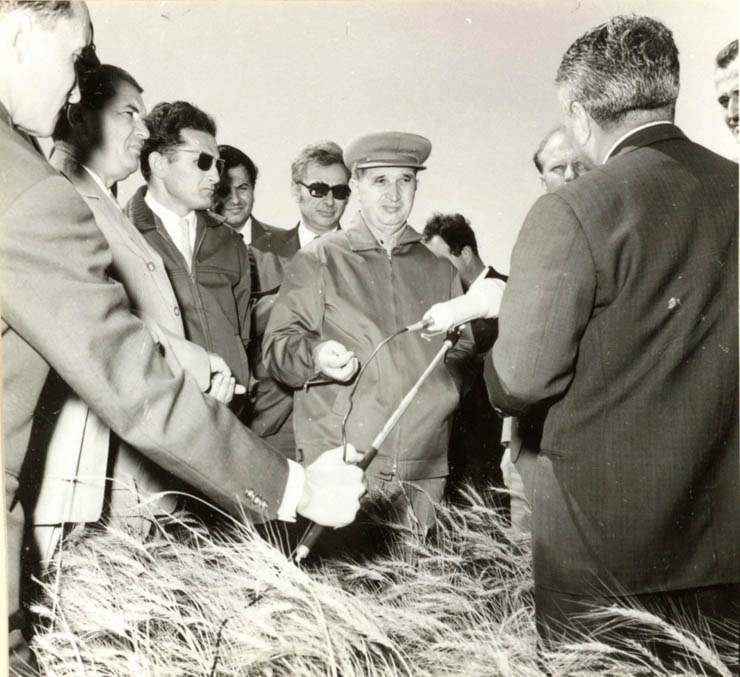 Nicolae Ceauşescu, Iosif Banc şi Manea Mănescu vizitează zonele îndiguite din Lunca Dunării, la Greaca. (22 iunie 1968)
