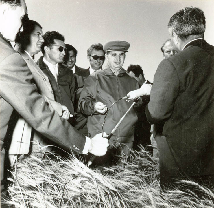 Nicolae Ceauşescu, Iosif Banc şi Manea Mănescu vizitează zonele îndiguite din Lunca Dunării, la Greaca. (22 iunie 1968)