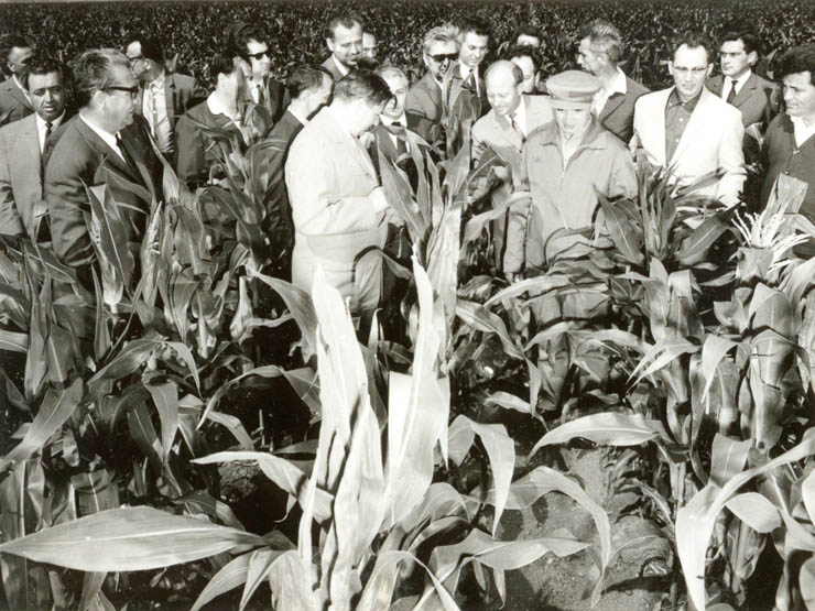 Nicolae Ceauşescu vizitează locurile fostelor bălţi din zonele îndiguite din Lunca Dunării, la Greaca.(22 iunie 1968)