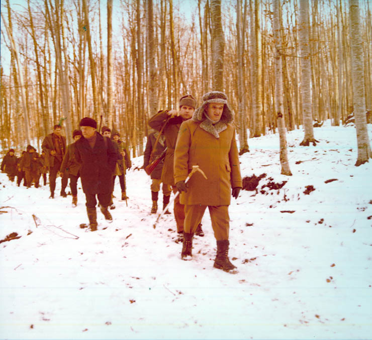 Vanatori 1981