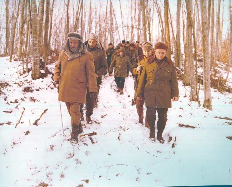 Vanatori 1981