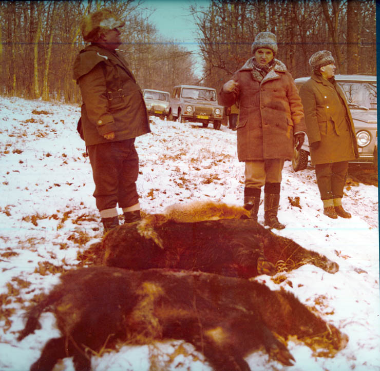 Vanatori 1981