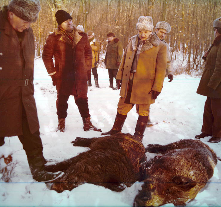 Vanatori 1981