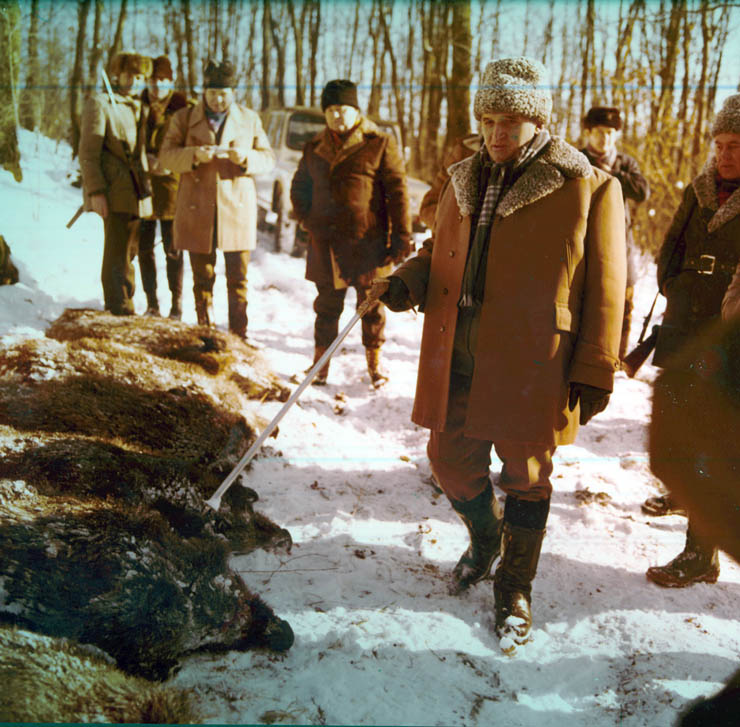 Vanatori 1981