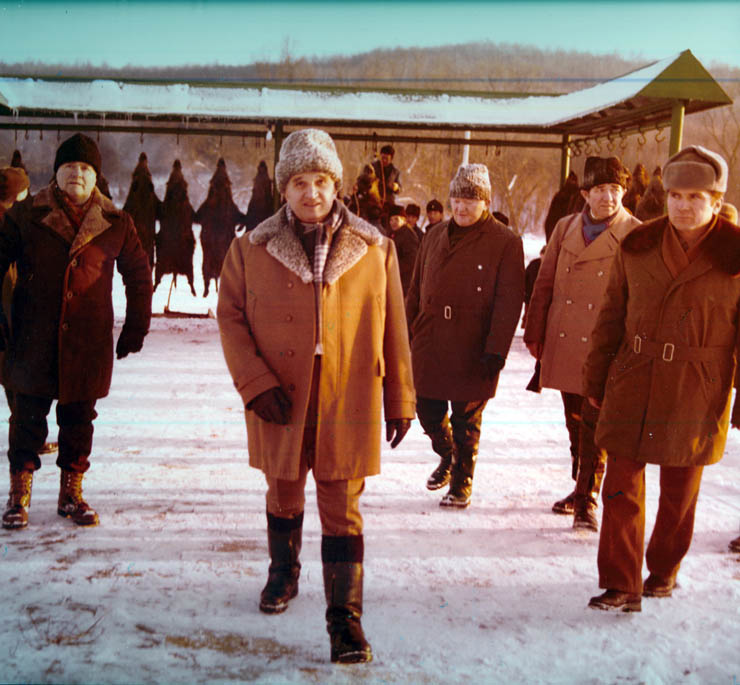 Vanatori 1981