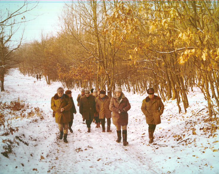 Vanatori 1981