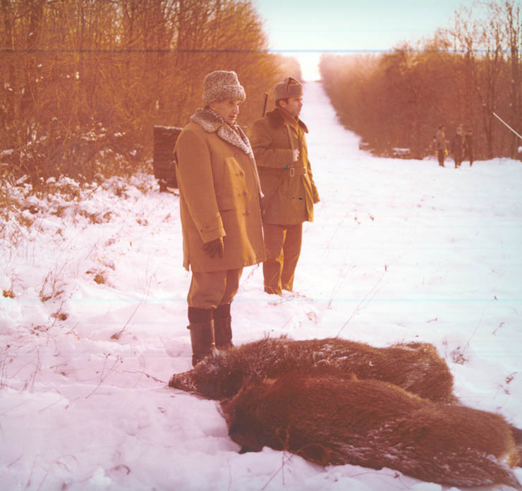Vanatori 1981