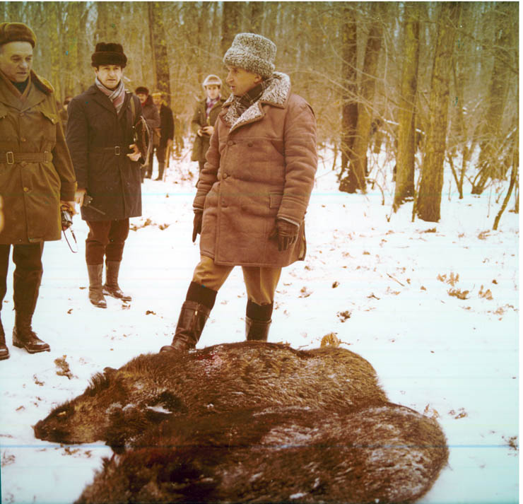 Vanatori 1981