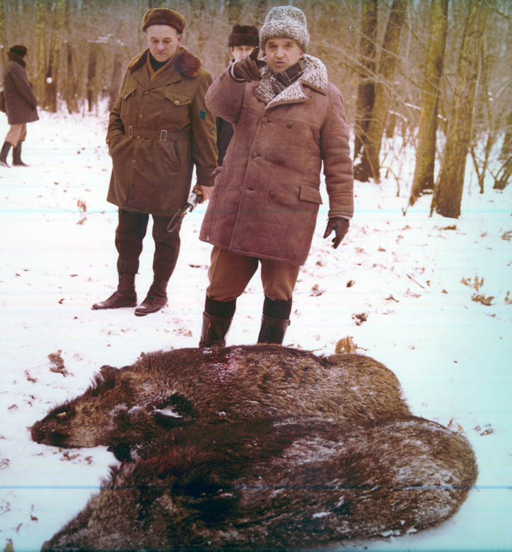 Vanatori 1981