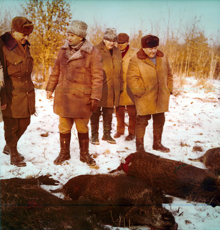 Vanatori 1981