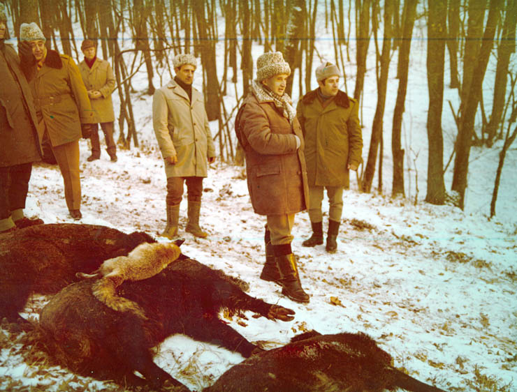 Vanatori 1981
