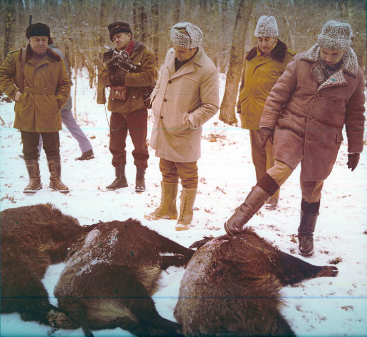 Vanatori 1981