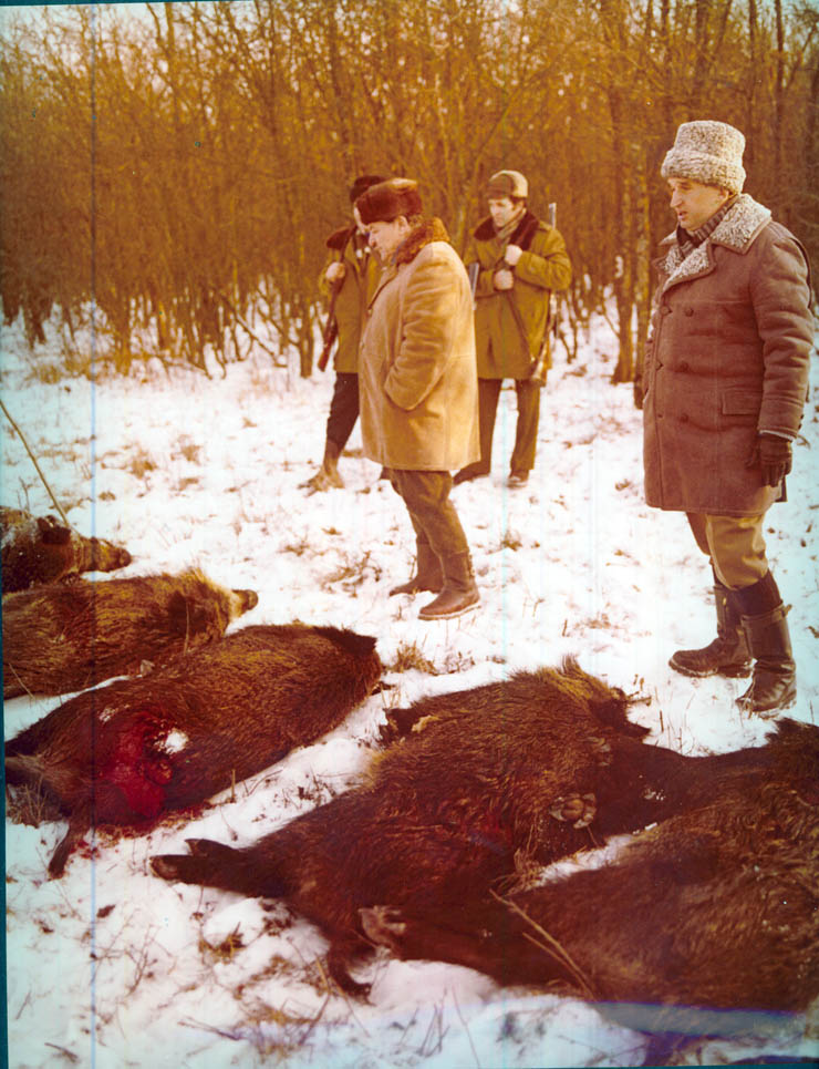 Vanatori 1981
