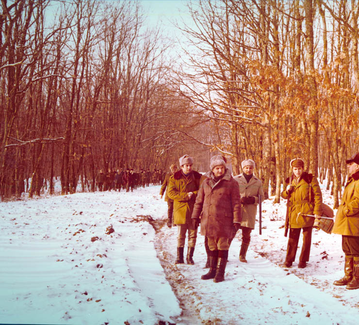 Vanatori 1981