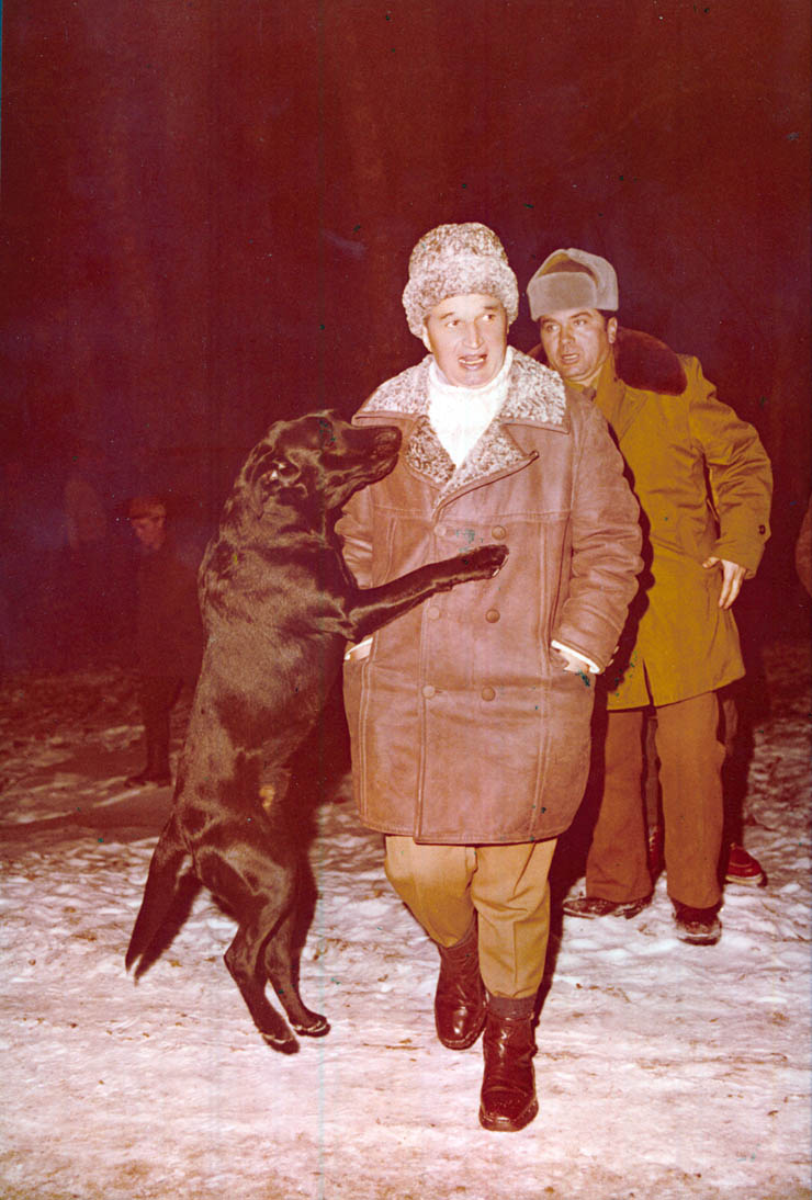 Vanatori 1981