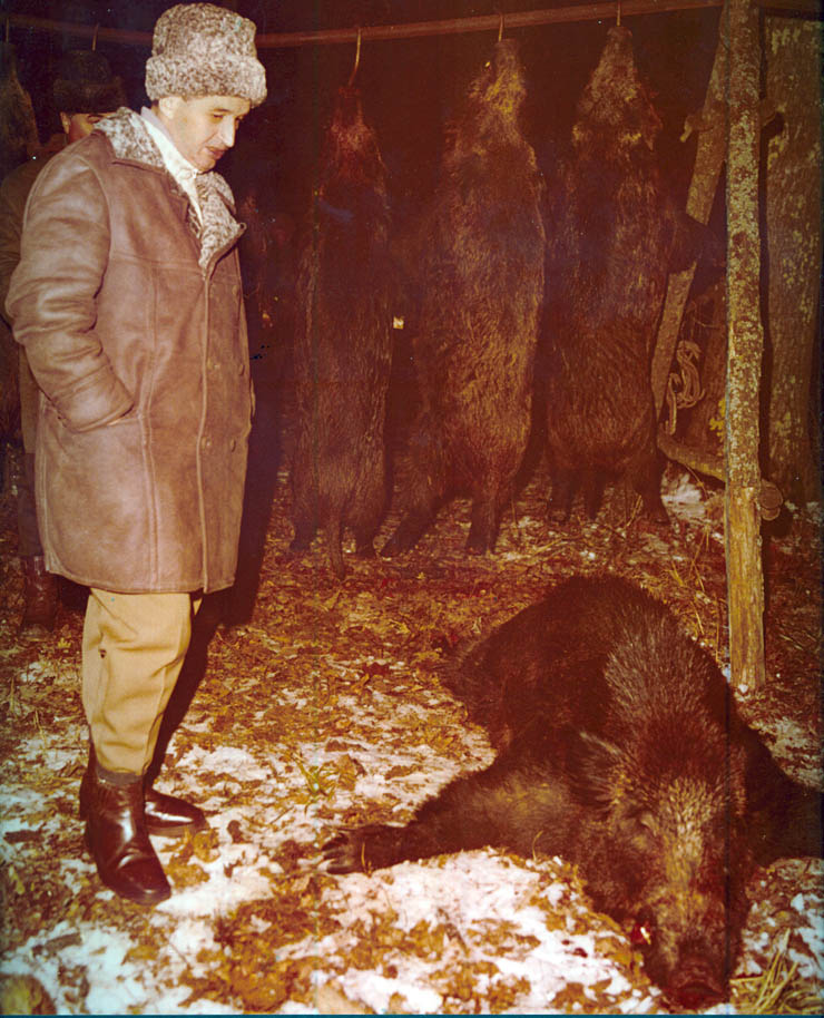 Vanatori 1981