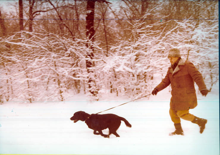 Vanatori 1981