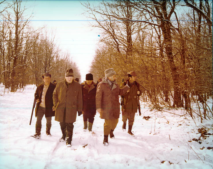 Vanatori 1981