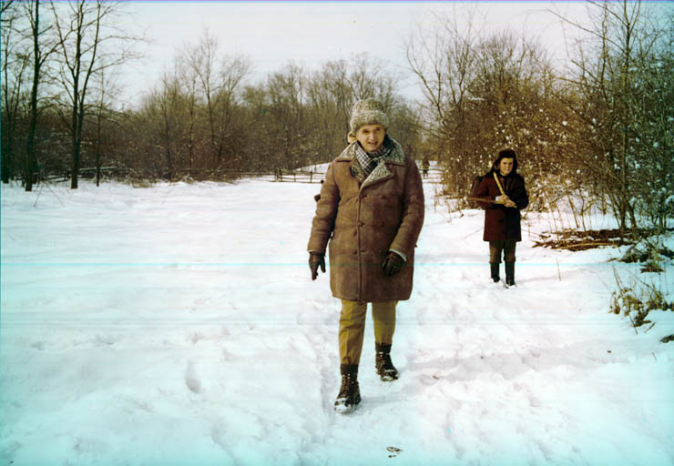 Vanatori 1981