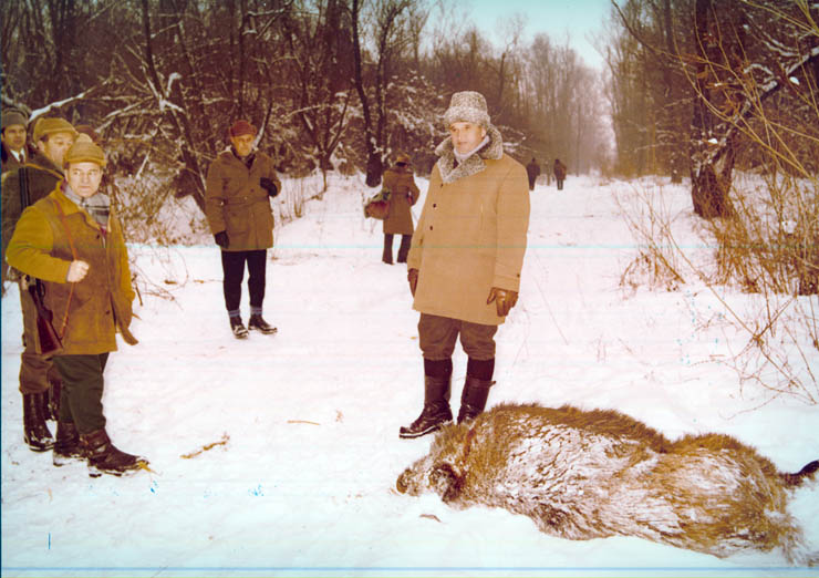 Vanatori 1981