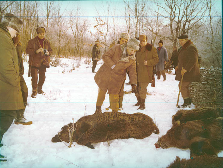 Vanatori 1981