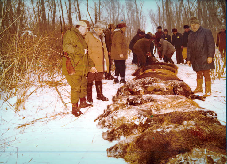 Vanatori 1981