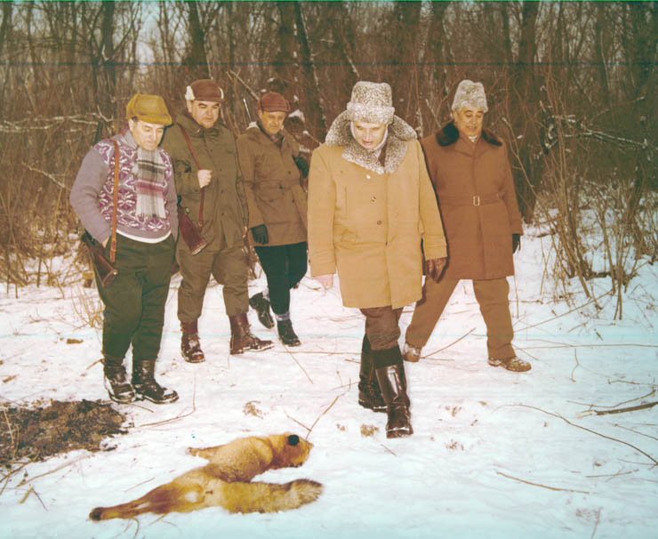 Vanatori 1981