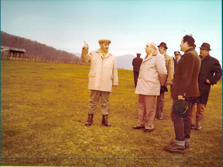Vanatori 1981