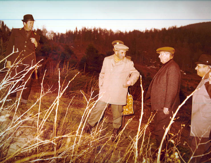 Vanatori 1981