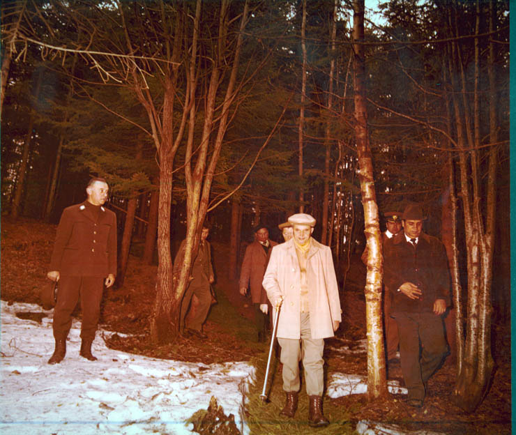 Vanatori 1981