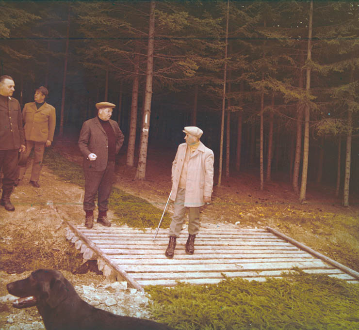 Vanatori 1981