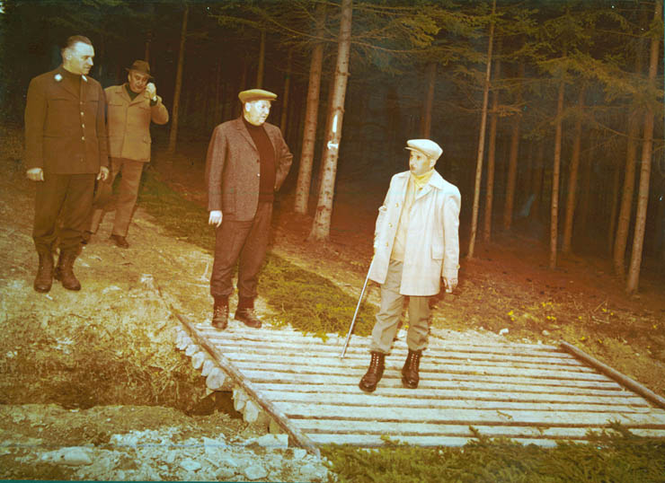Vanatori 1981