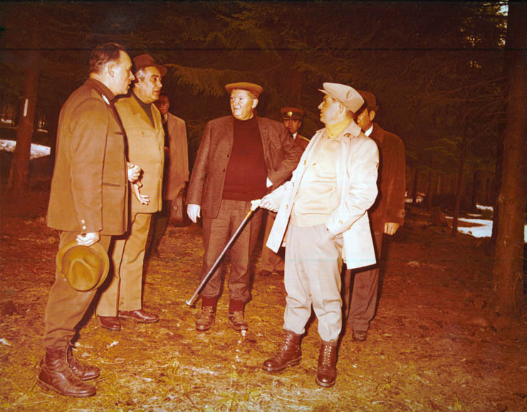 Vanatori 1981