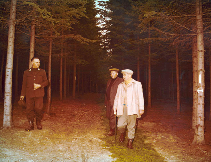 Vanatori 1981