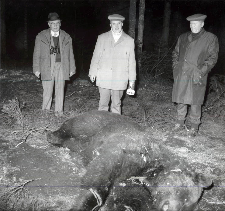 Vanatori 1981