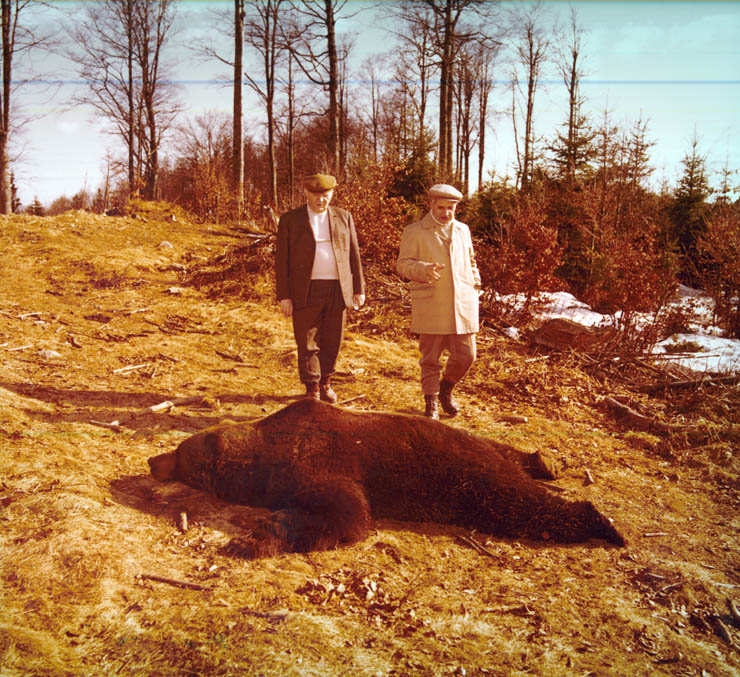 Vanatori 1981